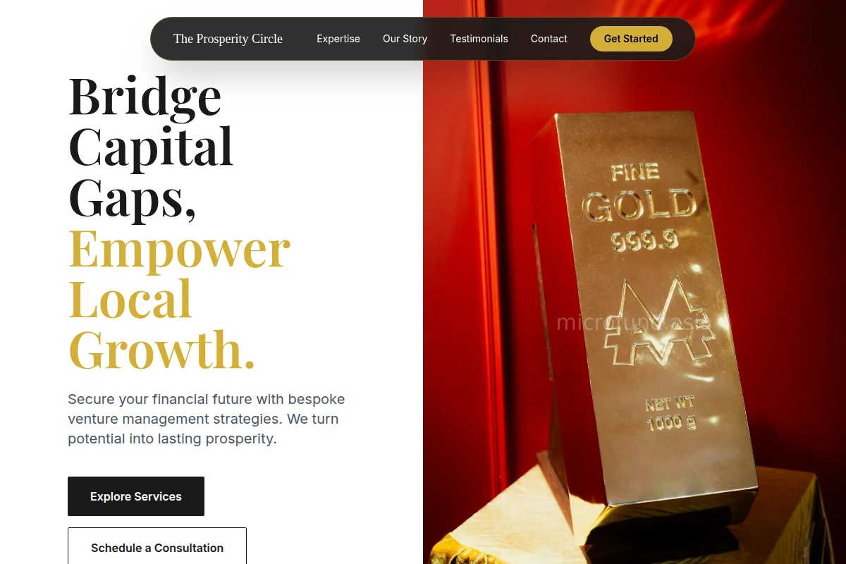 Venture Asset Management